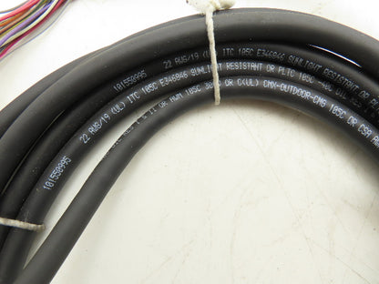 Turck MS3116M-14-19S-0995-4 Cordset Mil-Spec 3.25mm Fem Straight 20 Wire 13'