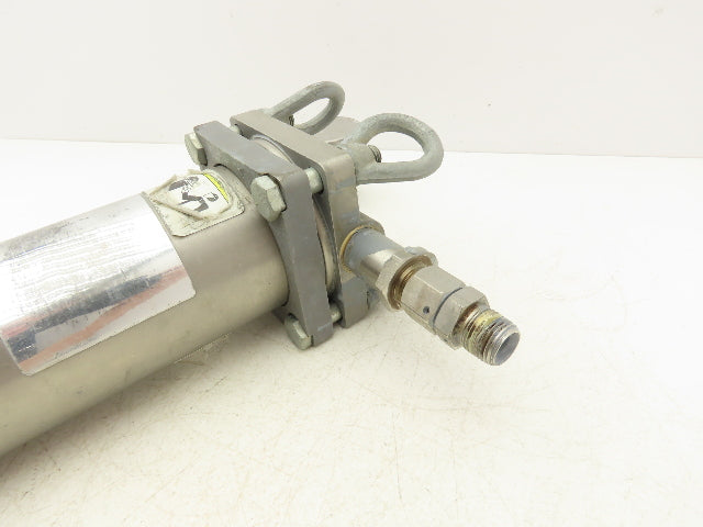 Graco 244053 Fluid Filter Stainless Housing 60 Mesh 300 PSI 3/4"NPT