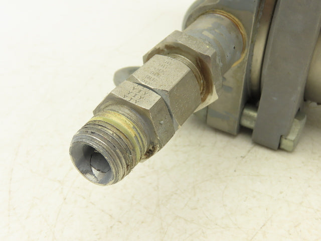 Graco 244053 Fluid Filter Stainless Housing 60 Mesh 300 PSI 3/4"NPT