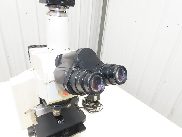Nikon Eclipse E600 Fluorescence Microscope With GP-KR222 Inspection Camera