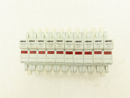 WAGO 811-411 Single Pole Fuse Holder for CC Fuses 30A 600VAC Lot of 10