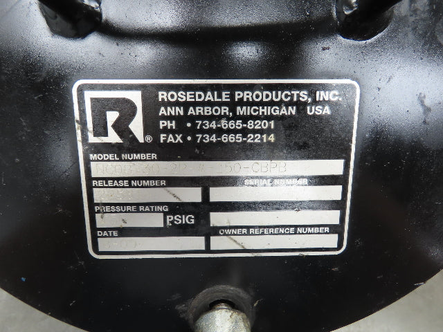 Rosedale NC08-30-2P-150-CBPB Basket Strainer #2 Bag Filter 2"NPT 150 PSI