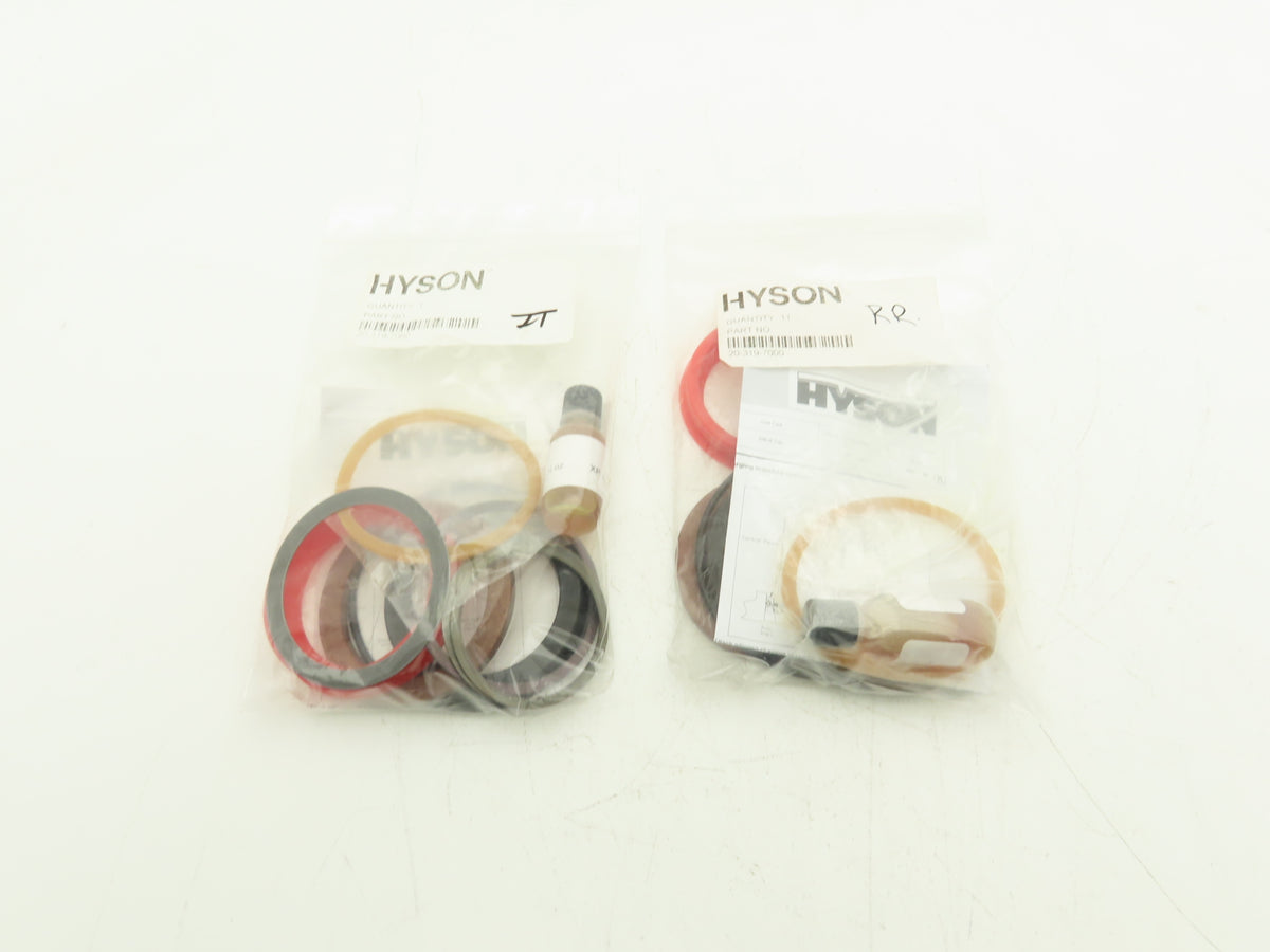 Hyson 20-319-7000 Nitrogen Cylinder Seal Kit O Rings Shims seals Lube Lot of 2