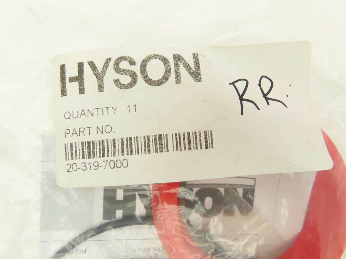 Hyson 20-319-7000 Nitrogen Cylinder Seal Kit O Rings Shims seals Lube Lot of 2