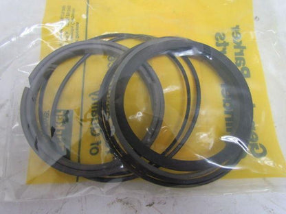 Parker GN194875PK Piston Seal Kit