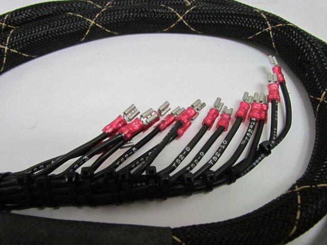 Raymond 154-008-261 Forklift Wiring Harness Kit