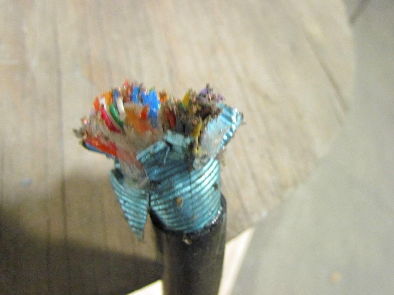 Essex Sealpic-F 5024 AWG 24/50 Pair Conductor Shielded Communication Cable 120Ft