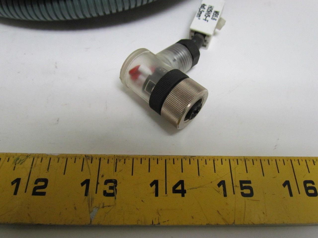 V-1W 4 Pin Socket Angled Screw Terminal PG7 Screwed Connection 33' 20AWG Cable