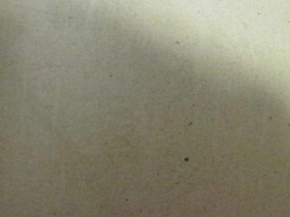 White Polyester/Nylon Impression Top Conveyor Belt 60" Wide 1/16" Thick 77"Long