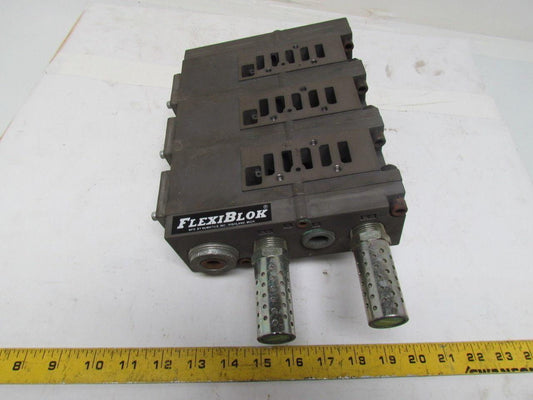 Numatics FlexiBlok 3-Block Manifold Assy 1/4" NPT Side/Bottom Ports w/End Caps