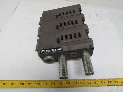Numatics FlexiBlok 3-Block Manifold Assy 1/4" NPT Side/Bottom Ports w/End Caps