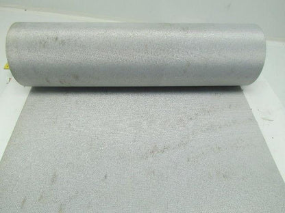 2-Ply 2-Sided Nylon Top Fabric Conveyor Belt 21-1/8"x37' Length 0.057" Thick