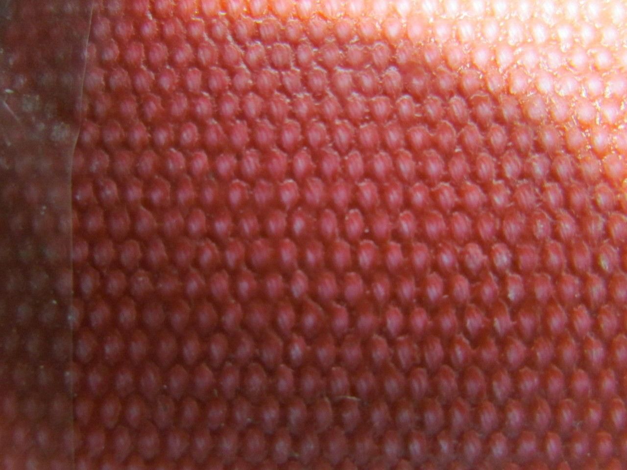 2-Ply Red Urethane Smooth Top Conveyor Belt 7" Wide 60' Long