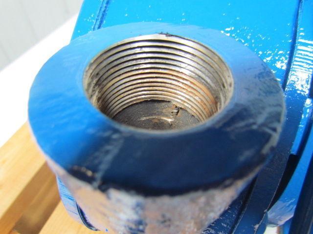 Gusher Pumps P1.25x1.5SEH-CBM-B Centrifugal Pump 50 GPM TDH in FT 80