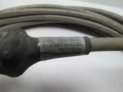Testron T13073-1CBL-31 4 Pin Male/Female Double End Cable