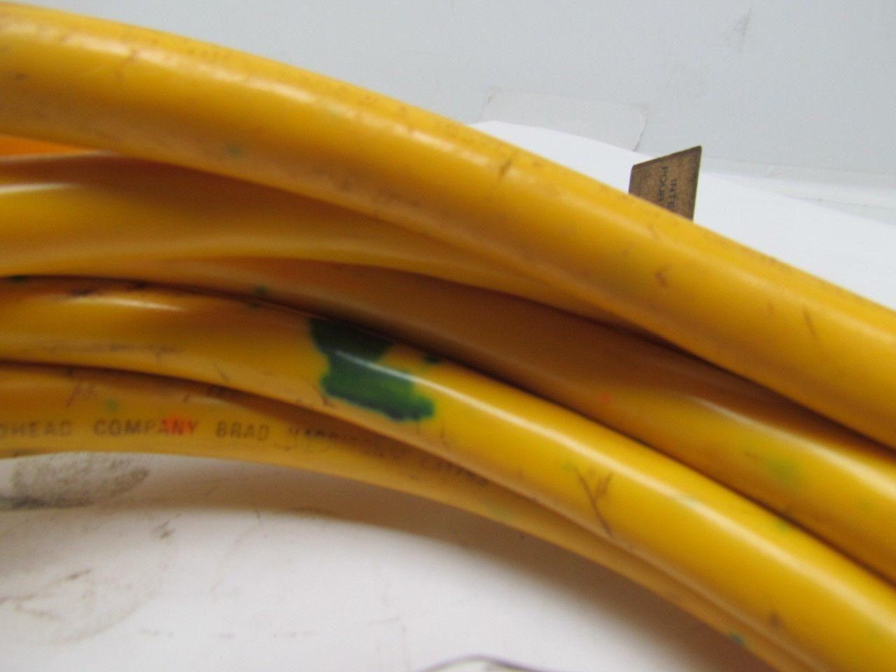 Woodhead 41529 5 Pole Mini Change 2-Ended Cordset 16-5 Conductor 600V 8A 20'Long