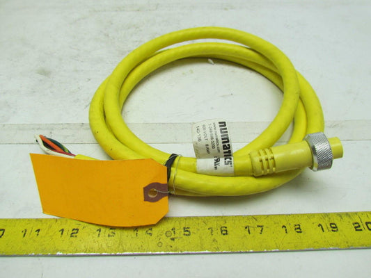 Numatics 140-136 5 Pole Female Straight Connector Cordset 6' Long 16/5 Cord