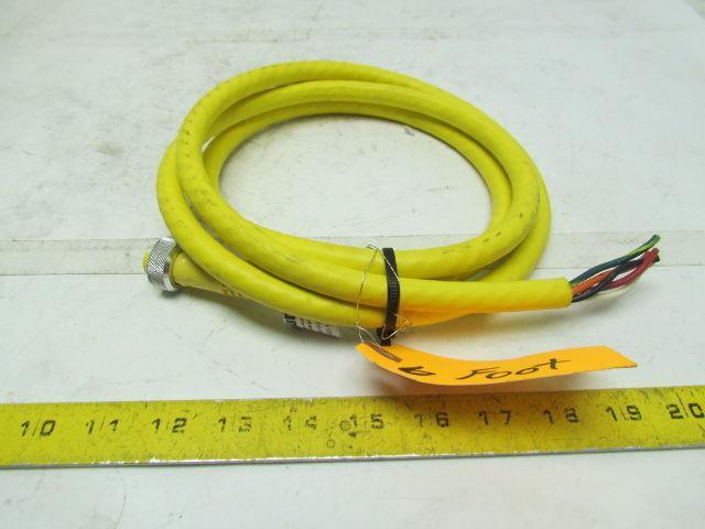 Numatics 140-136 5 Pole Female Straight Connector Cordset 6' Long 16/5 Cord