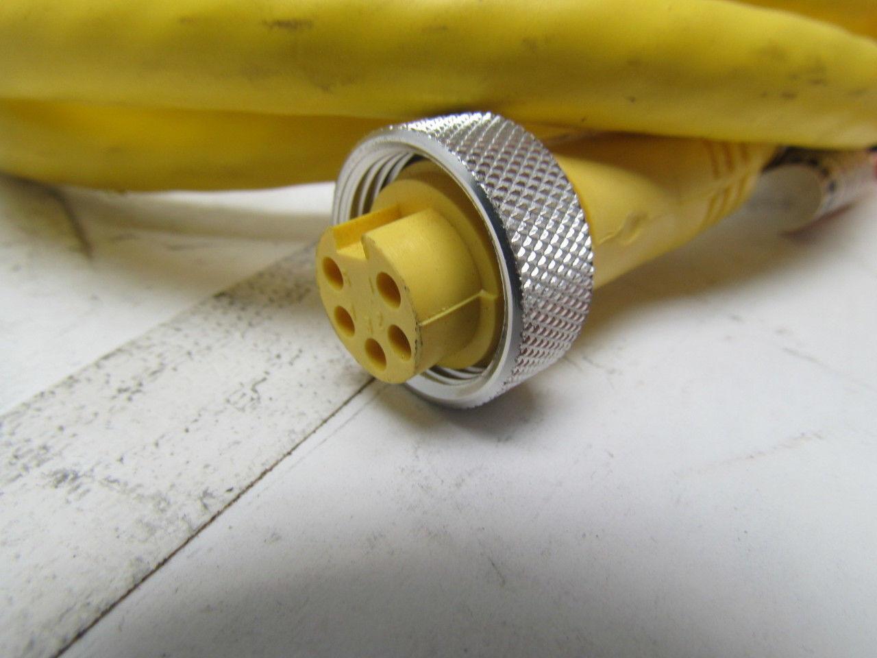 Numatics 140-136 5 Pole Female Straight Connector Cordset 6' Long 16/5 Cord