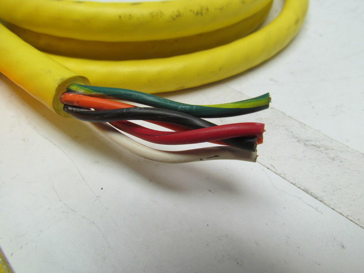 Numatics 140-136 5 Pole Female Straight Connector Cordset 6' Long 16/5 Cord