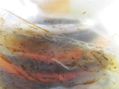 Milwaukee Cylinder 00530-0/7-60 Hydraulic Cylinder Service Repair Kit