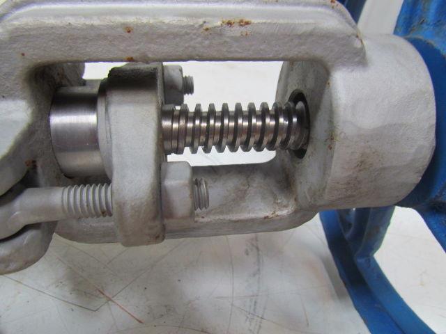 DSI 2-1/2" Gate Valve 300WCB NEW