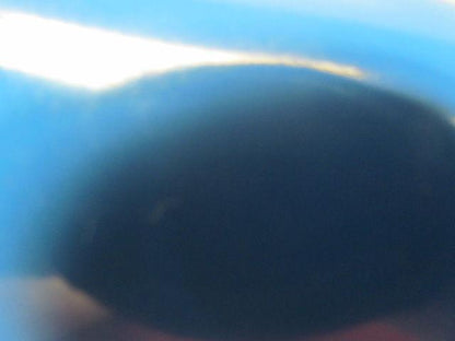 Blue General Purpose Smooth Top 0.080" Thick 23"Wide 7Ft Long Conveyor Belt