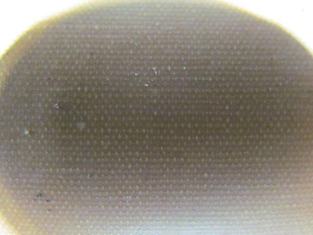 Single Ply Smooth Top Conveyor Belt 37"Wide 7Ft Long 0.064" Thick