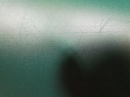 Green 1-Ply Smooth Top Nylon Backed Center V Guide Conveyor Belt 23FT X 41"