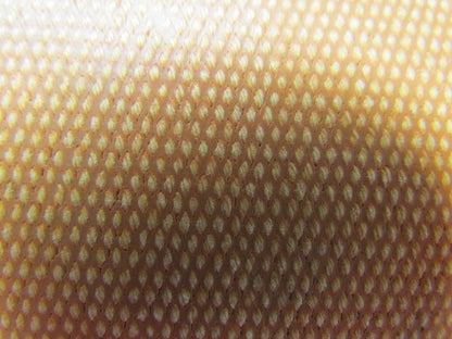 Triple Ply Tan Friction Surface Conveyor Belt 18Ft X 22-1/8"