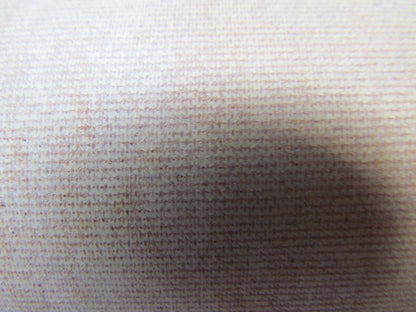 2 Ply White Smooth Top Nylon Backed Conveyor Belt 9Ft X 15-7/8" 0.090" Thick