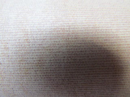 2 Ply White Smooth Top Nylon Backed Conveyor Belt 9Ft X 15-7/8" 0.090" Thick