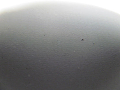 2 Ply White Smooth Top Nylon Backed Conveyor Belt 9Ft X 15-7/8" 0.090" Thick