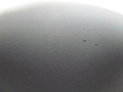 2 Ply White Smooth Top Nylon Backed Conveyor Belt 9Ft X 15-7/8" 0.090" Thick