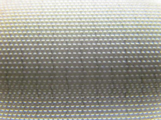 2 Ply White Smooth Top Nylon Backed Conveyor Belt 5Ft X 24-1/8" 0.090" Thick