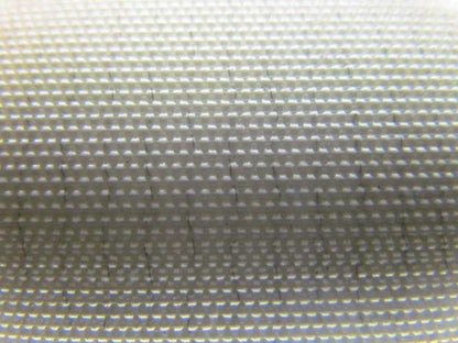 2 Ply White Smooth Top Nylon Backed Conveyor Belt 5Ft X 24-1/8" 0.090" Thick