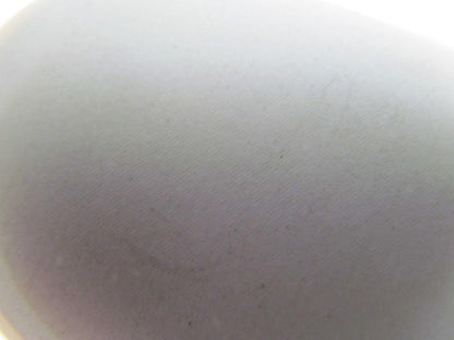 2 Ply White Smooth Top Nylon Backed Conveyor Belt 5Ft X 24-1/8" 0.090" Thick