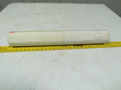 2 Ply White Smooth Top Nylon Backed Conveyor Belt 5Ft X 24-1/8" 0.090" Thick