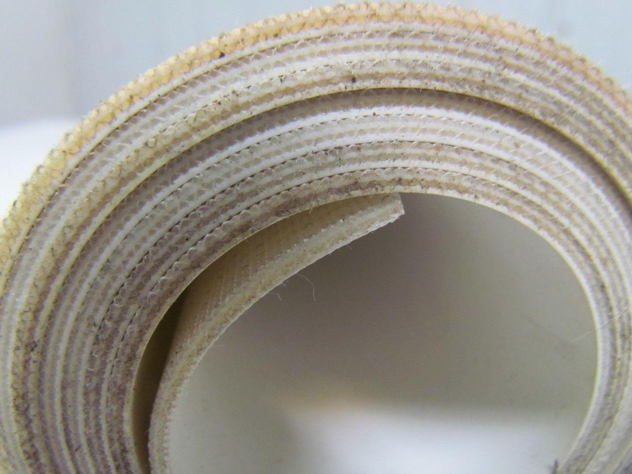 2 Ply White Smooth Top Nylon Backed Conveyor Belt 5Ft X 24-1/8" 0.090" Thick