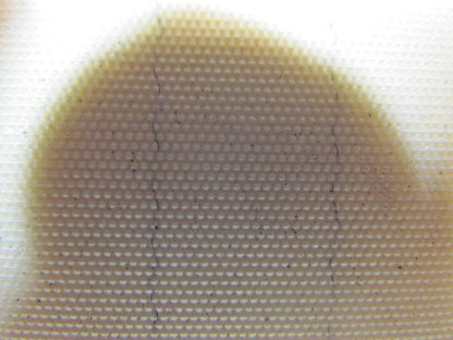 2 Ply Smooth Top Clear/White Urethane Rubber Conveyor Belt 29Ft X 29-1/2"