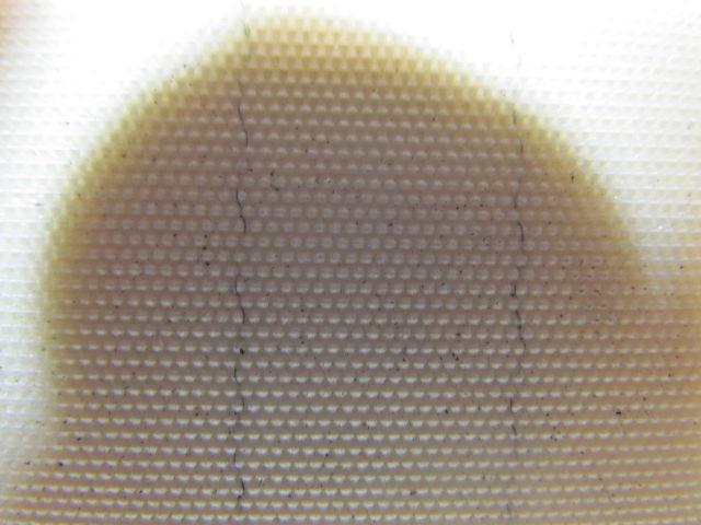 2 Ply Smooth Top Clear/White Urethane Rubber Conveyor Belt 29Ft X 29-1/2"