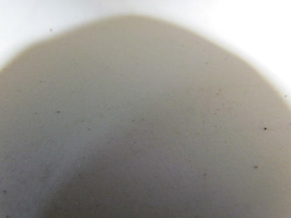 2 Ply White Rubber Smooth Top Nylon Backed Conveyor Belt 14Ft X 13" 0.095" Thick