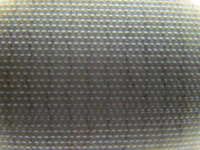 2 Ply White Rubber Smooth Top Nylon Backed Conveyor Belt 14Ft X 13" 0.095" Thick