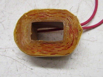 Danly Air Valve Coil 110V 50/60 Hz A-10907A-6 45-18-96002 0Gden No. 219D2 NEW