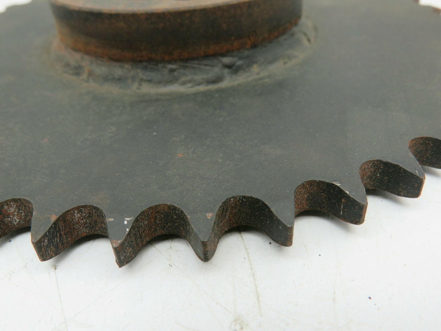 Martin 40BTL43  #40 Roller Chain Sprocket 24 Teeth Taper Lock Bushing Bore 1610